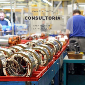 Consultoría Gestión Producción PyMES