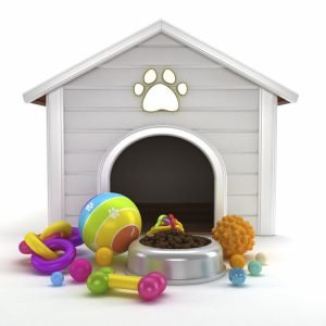 Diseño tienda online mascotas PYMECO