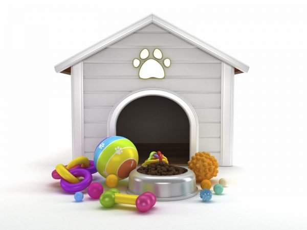 Diseño tienda online mascotas PYMECO