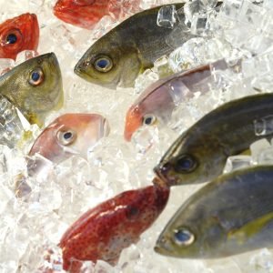 Diseño pagina web pescaderia PYMECO
